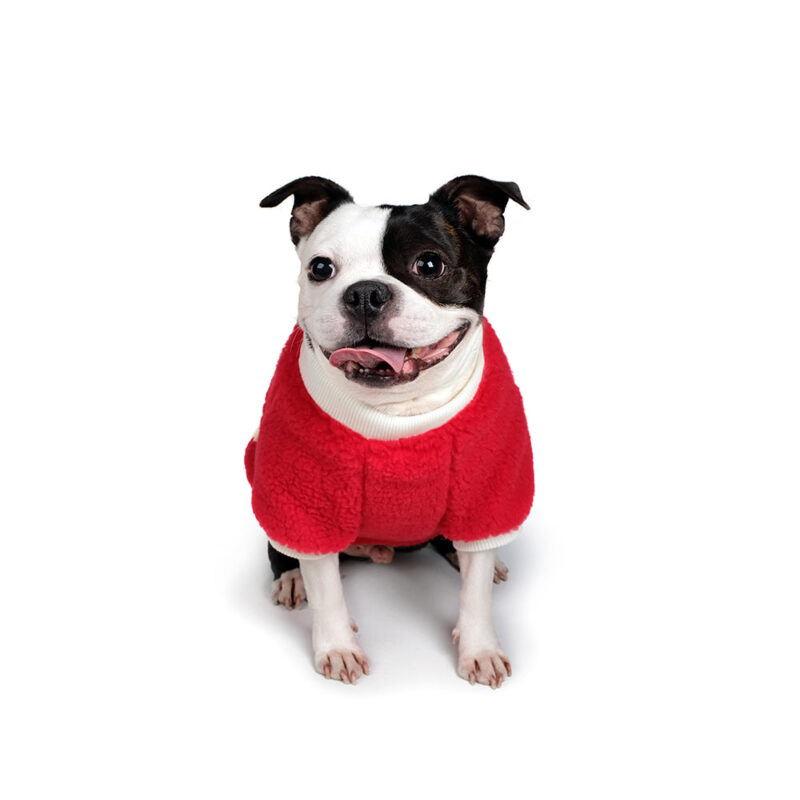 Charlie's Backyard Player Jacket (Red) - Image 3