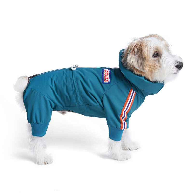 Charlie's Backyard Alpine Bodysuit (Teal Blue) - Image 4