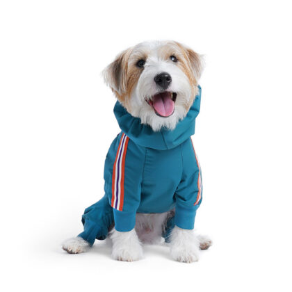 Charlie's Backyard Alpine Bodysuit (Teal Blue)