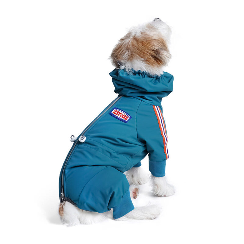 Charlie's Backyard Alpine Bodysuit (Teal Blue) - Image 6