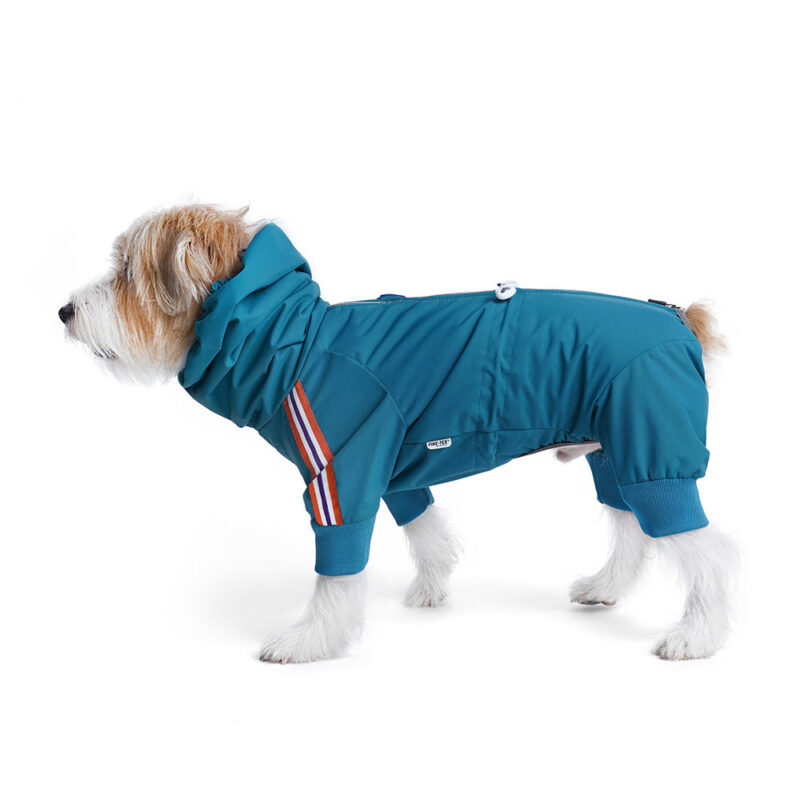 Charlie's Backyard Alpine Bodysuit (Teal Blue) - Image 5