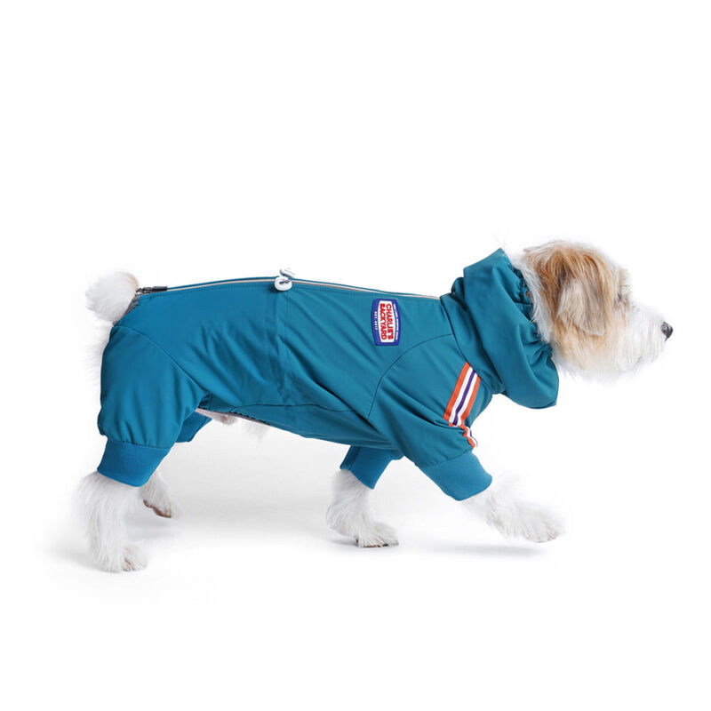 Charlie's Backyard Alpine Bodysuit (Teal Blue) - Image 2